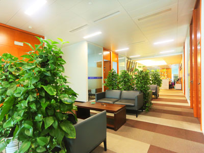 上海遗产继承纠纷律师